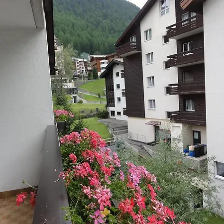 City Hotel 3*